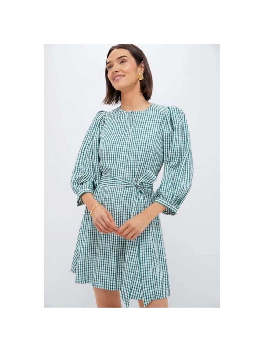 Tuckernuck Green Gingham Tie-Waist Mini Dress